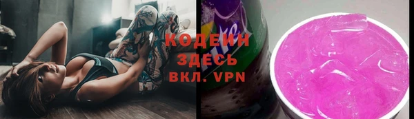 индика Бердск