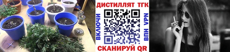 ТГК гашишное масло  Купить закладки  Нововоронеж 