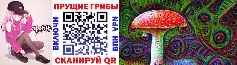 Псилоцибиновые грибы прущие грибы Купить закладки Нововоронеж
