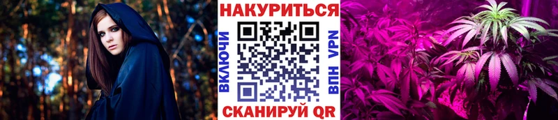 Купить где  Нововоронеж  Марихуана SATIVA & INDICA 